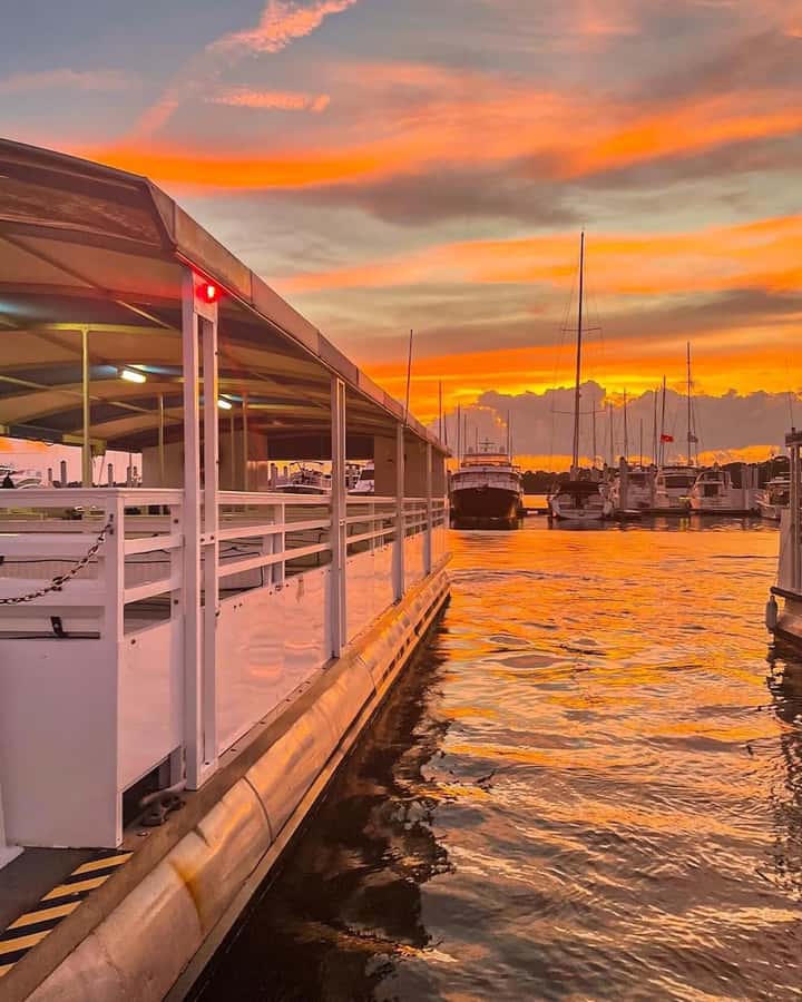 Hilton Head Island: Dolphin Tour at Sunset & Fireworks Show - Broad Creek opens the evening