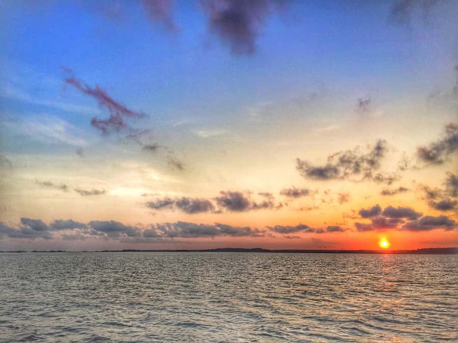 Hilton Head Island: Dolphin Tour at Sunset & Fireworks Show - Calibogue Sound is the main wildlife stop