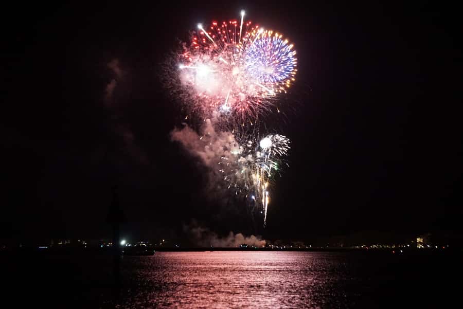 Hilton Head Island: Dolphin Tour at Sunset & Fireworks Show - Meeting Lowcountry Watersports at Black Marlin