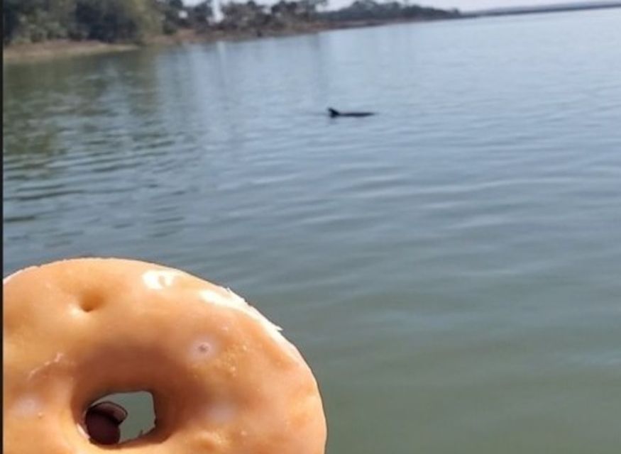 Hilton Head Island: Dolphin Watching Cruise with Donuts - Fresh donuts set the tone before the wildlife search
