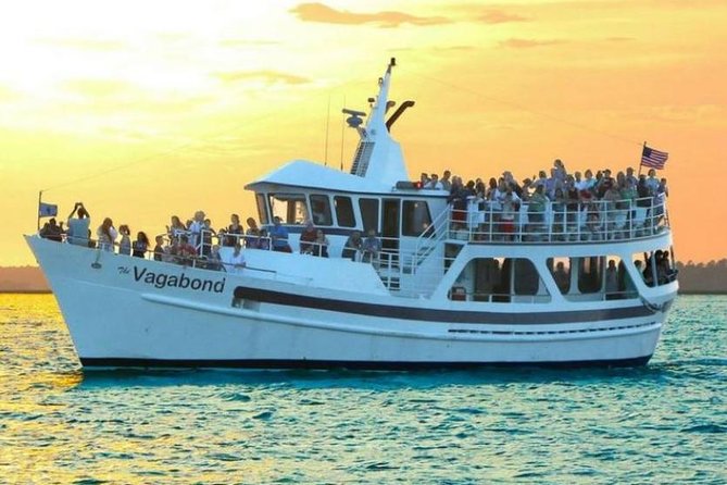 Hilton Head Island Ocean Dolphin Cruise - Finding dolphins near the islands