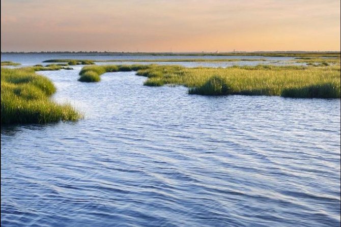 Hilton Head Island: Ocean Dolphin Cruise - The captain’s narration gives the ride shape