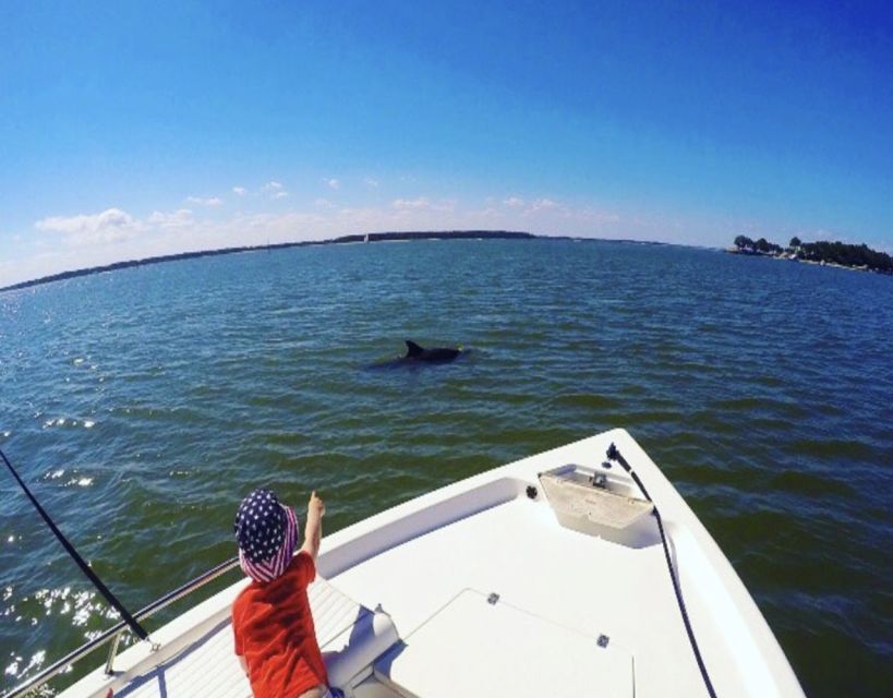 Hilton Head Island: Private Dolphin Watching Boat Tour - Key points to know before you book