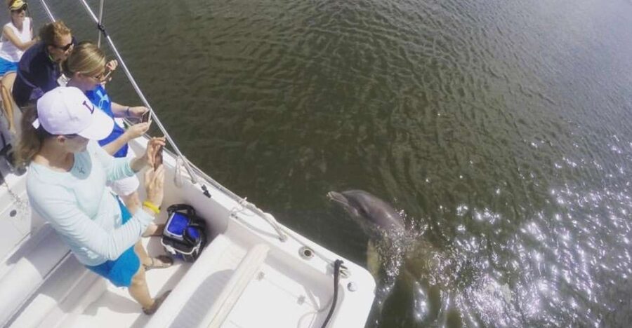 Hilton Head Island: Private Dolphin Watching Boat Tour - Harbour Town Lighthouse from the water