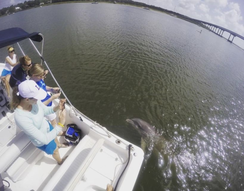 Hilton Head Island: Private Dolphin Watching Boat Tour - Snacks, drinks, and family photos