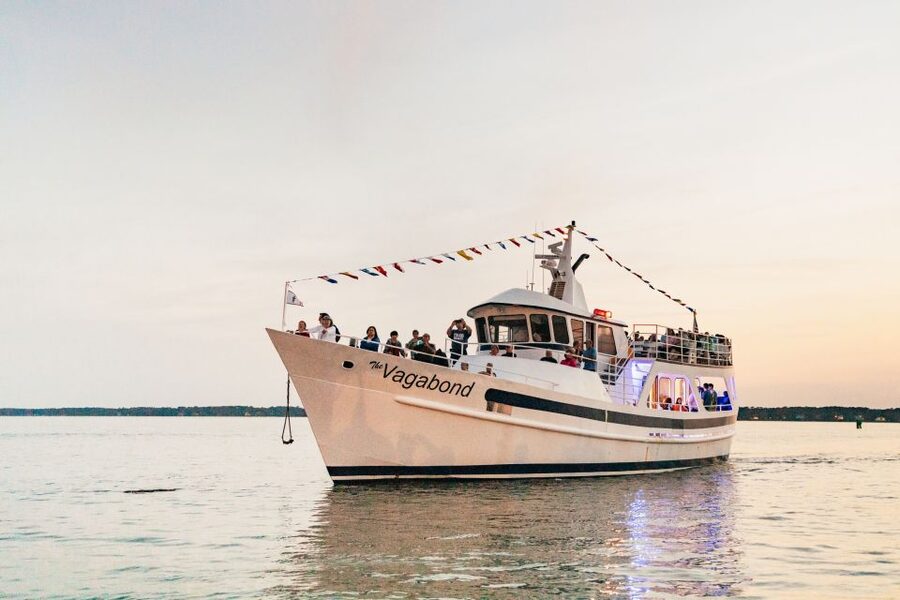 Hilton Head Island: Sunset Dolphin Cruise - Dolphins first, sunset second