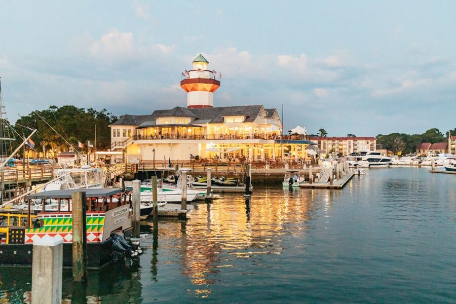 Hilton Head Island: Sunset Dolphin Cruise - What kind of dolphin viewing should you expect?