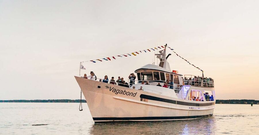 Hilton Head Island: Sunset Dolphin Cruise - The captains make the difference
