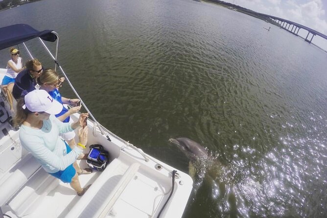 Hilton Head Island Sunset Dolphin Tour - Is $49.99 a fair price?