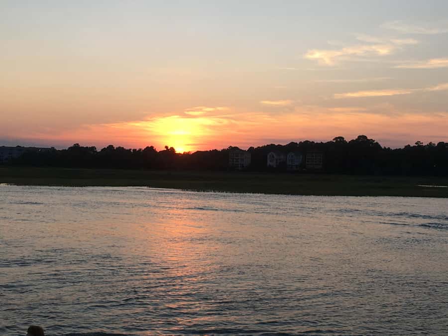Hilton Head Island: Sunset Dolphin Watching Cruise - Shorebirds and the changing evening light