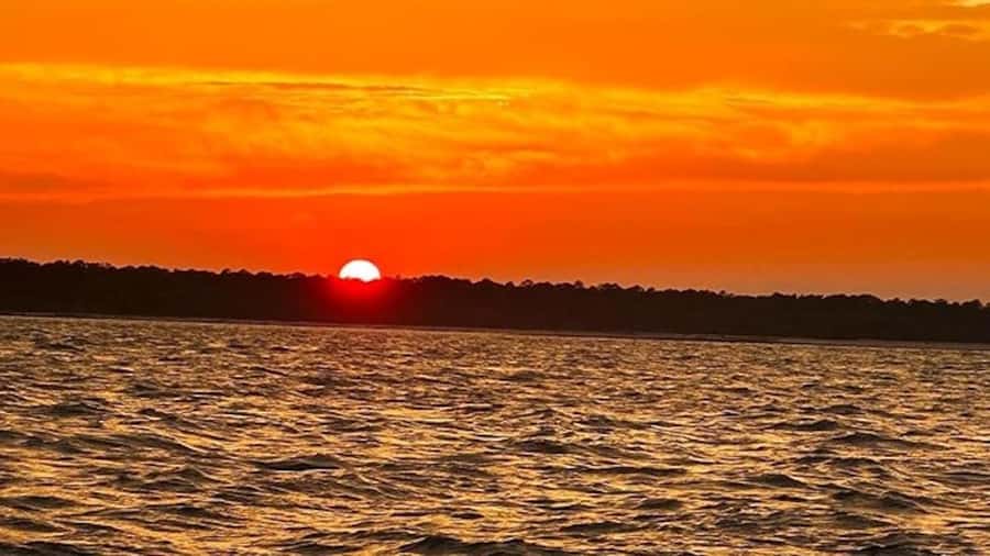 Hilton Head Island: Sunset Dolphin Watching Tour - Why the sunset makes this dolphin cruise special