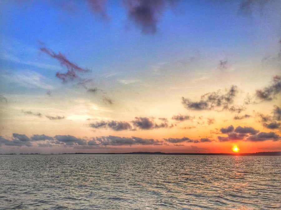 Hilton Head Island: Sunset Dolphin Watching Tour - Passing Harbour Town Lighthouse and Daufuskie Island