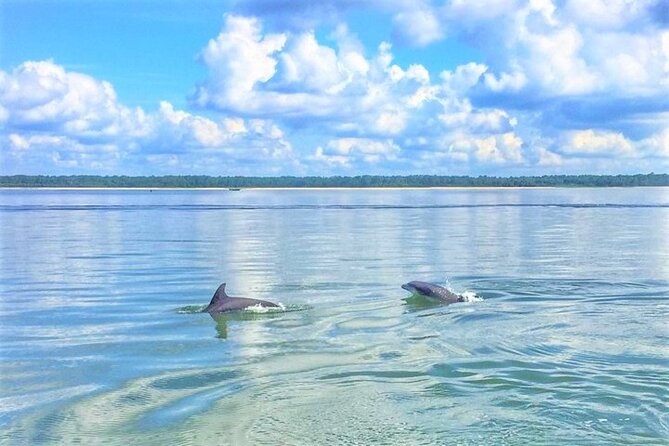Hilton Head Morning Dolphins & Donuts Cruise - Key points to know before you book