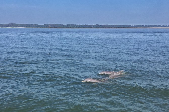 Hilton Head Morning Dolphins & Donuts Cruise - What the boat and group size mean