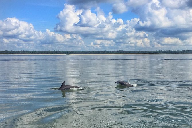 Hilton Head Morning Dolphins & Donuts Cruise - Is $55 a fair price?