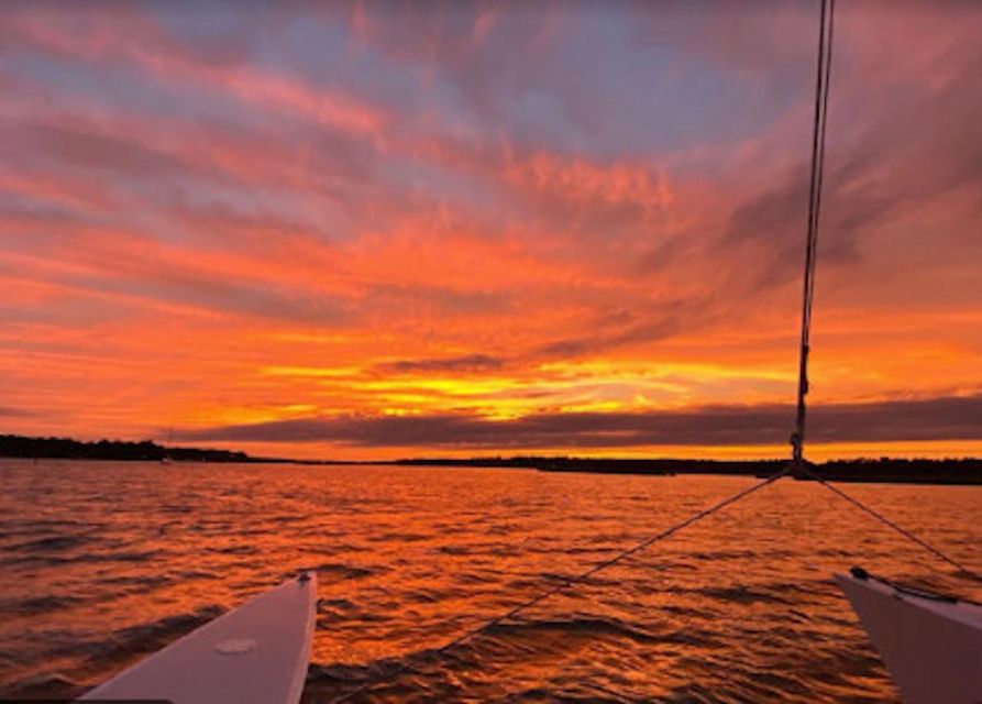 Hilton Head: Private Dolphin Day or Sunset Catamaran Sail - Choosing the daytime sail