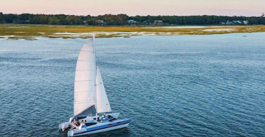 Hilton Head: Private Dolphin Day or Sunset Catamaran Sail - Reading the Hilton Head salt marsh