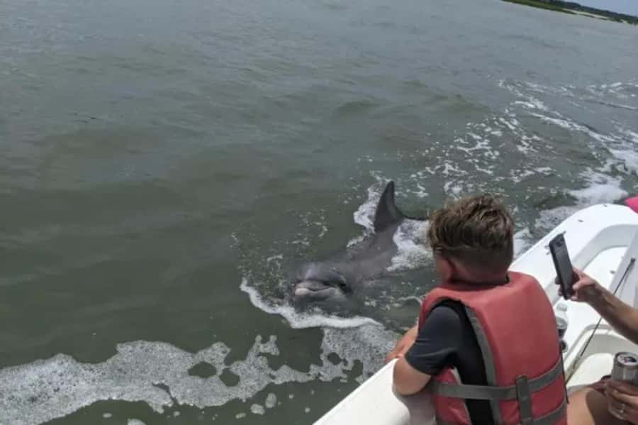 Hilton Head: Private Dolphins & Tubing Adventure - Shelter Cove Marina sets the tone