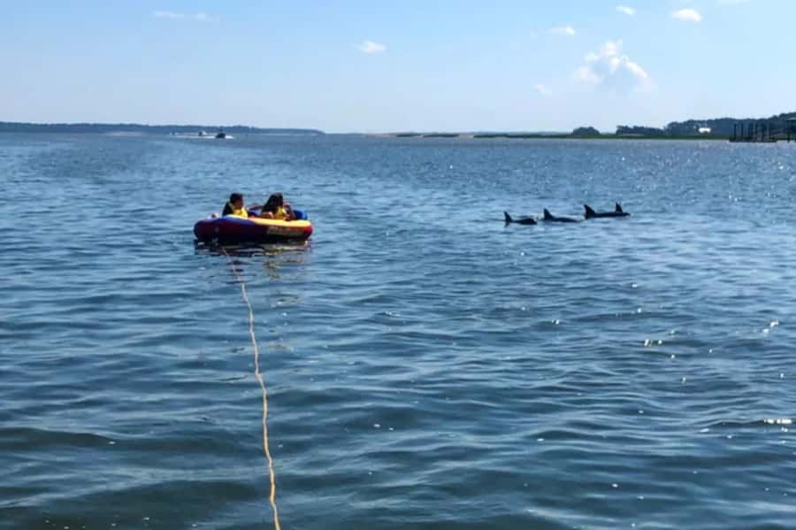 Hilton Head: Private Dolphins & Tubing Adventure - A private boat changes the experience