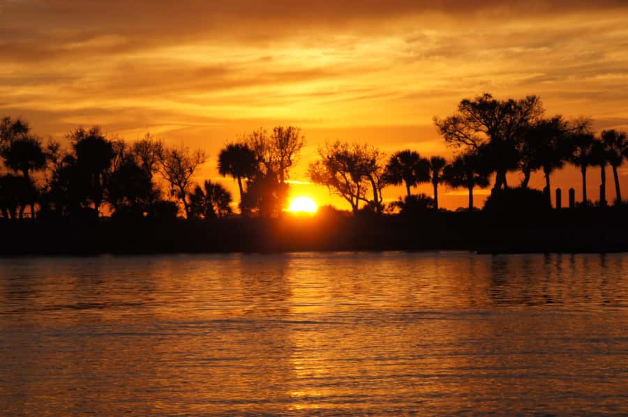 Hilton Head: Sunset Dolphin Cruise with Scenic Views - Key points at a glance