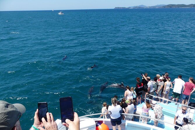 Hole in the Rock Scenic Cruise including Dolphins and Island stop - Looking for Dolphins Without a Guarantee