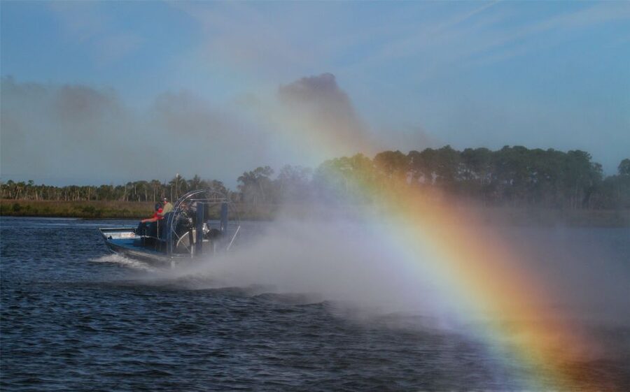Homosassa: Gulf of Mexico Airboat Ride and Dolphin Watching - From Homosassa River to the Gulf