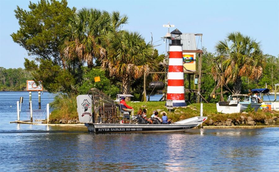 Homosassa: Gulf of Mexico Airboat Ride and Dolphin Watching - Dolphin watching without a guarantee
