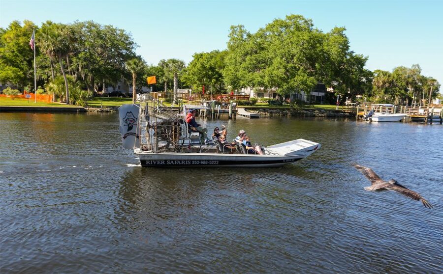 Homosassa: Gulf of Mexico Airboat Ride and Dolphin Watching - Guides who make the difference