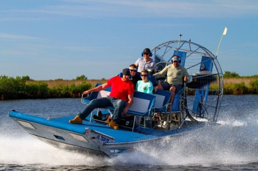 Homosassa: Gulf of Mexico Airboat Ride and Dolphin Watching - What the airboat ride feels like