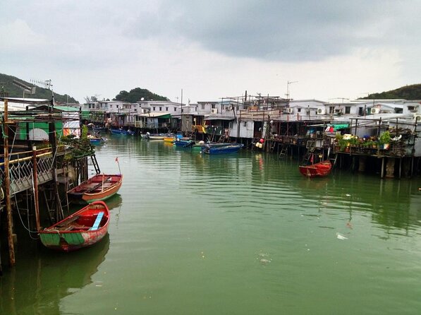 Hong Kong Dolphin Watch Tour - Key points before you book