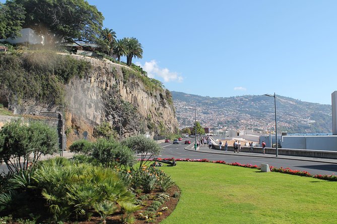 Hop-on Hop-off Bus Tour and Catamaran Whale & Dolphin Watching - Stops 21 to 29: hotels, the marina, and the cruise dock