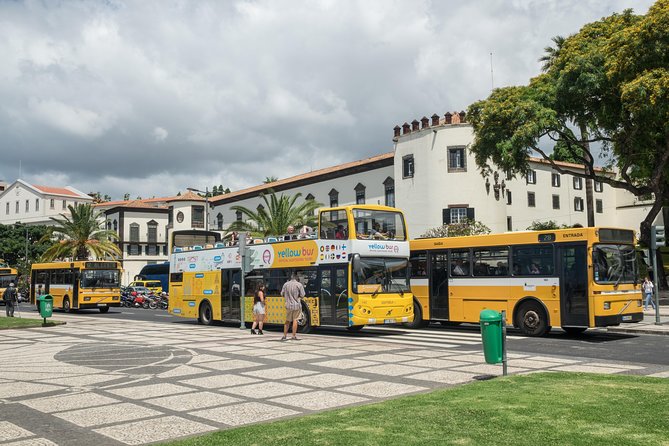 Hop-on Hop-off Bus Tour and Catamaran Whale & Dolphin Watching - What the extras are really worth