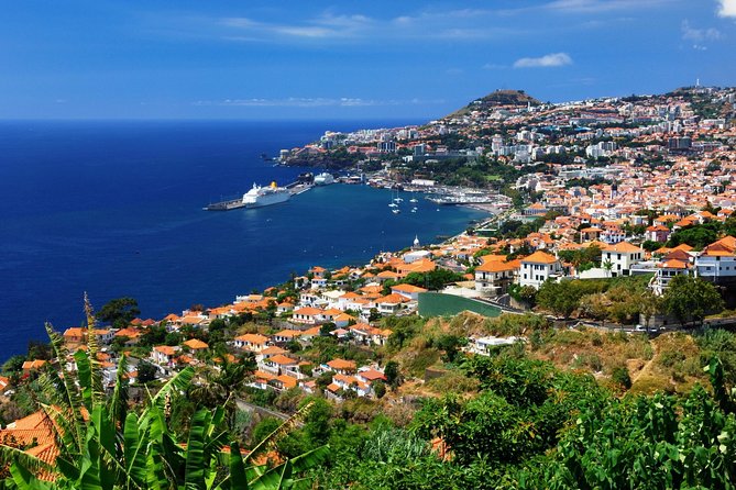 Hop-on Hop-off Bus Tour and Catamaran Whale & Dolphin Watching - Stops 1 to 8: the best first look at central Funchal
