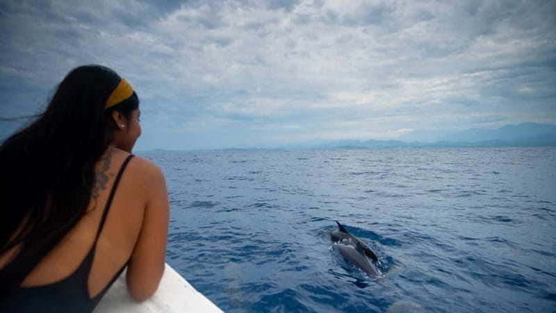 Huatulco: Awakening with Stars Dolphins Boat Cruise - Key things to know before booking