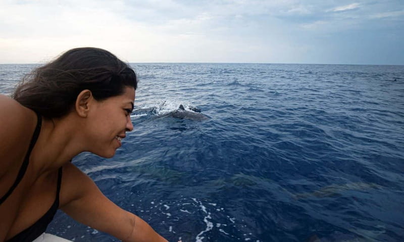 Huatulco: Awakening with Stars Dolphins Boat Cruise - Comfort, clothing, and what to carry
