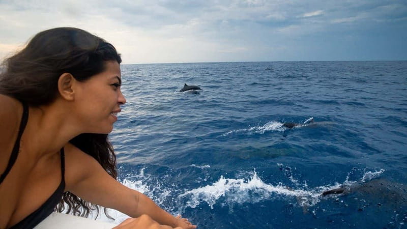 Huatulco: Awakening with Stars Dolphins Boat Cruise - Is $57 a fair price?