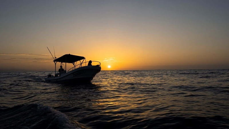 Huatulco: Awakening with Stars Dolphins Boat Cruise - The guide and language setup