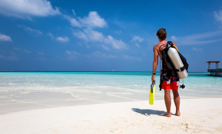 Hurghada: 1 day DIVING Refrechment, Check Dives and Dolphins - Returning to Scuba in Hurghada