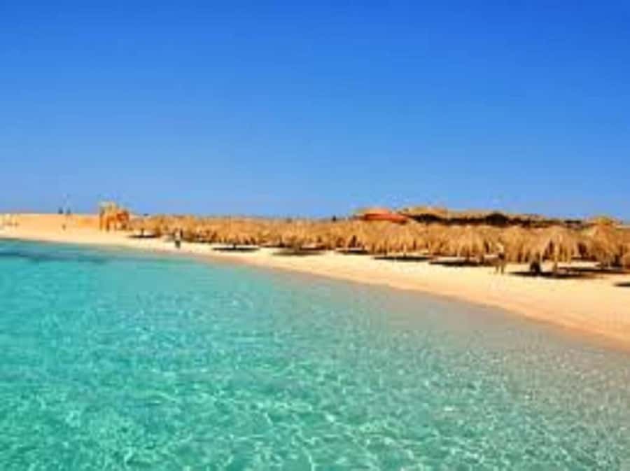 Hurghada: 3-Island Speedboat, Dolphin Watching & Snorkeling - Food, drinks, and the practical comfort level