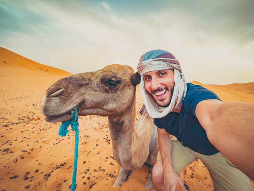 Hurghada: 4 Days Tour Horse, Camel, Spa, ATV, Jeep & Dolphin - Who will enjoy this four-day package most