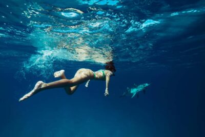All-Inclusive Elite VIP Dolphin House & Massage