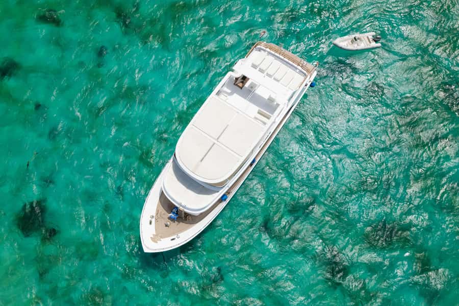 Hurghada: All-Inclusive Elite VIP Dolphin House & Massage - Lunch with a Red Sea view