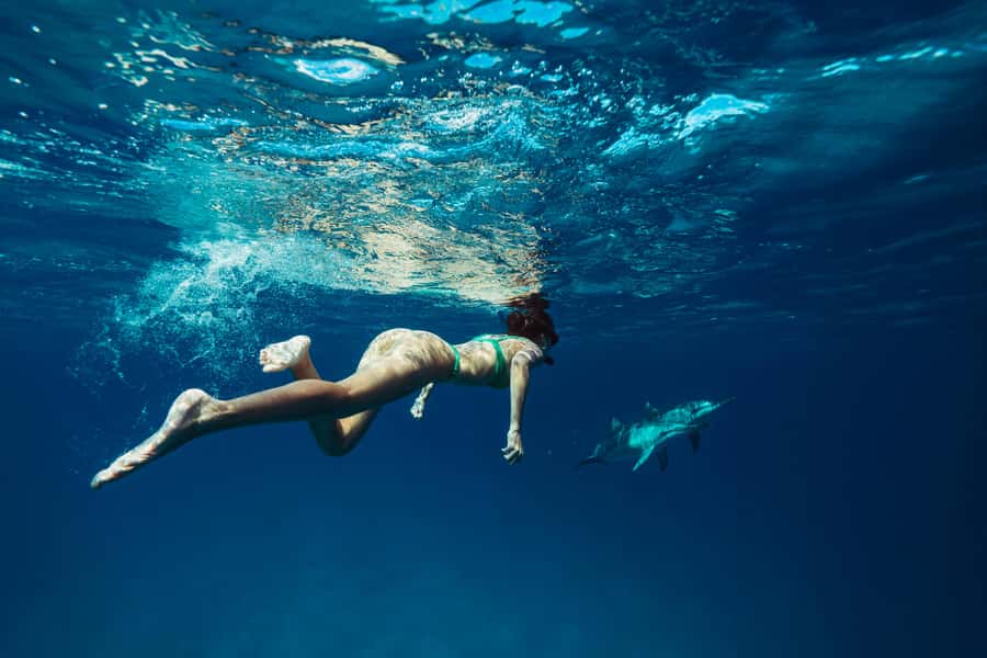 Hurghada: All-Inclusive Elite VIP Dolphin House & Massage - Hotel pickup and the early start