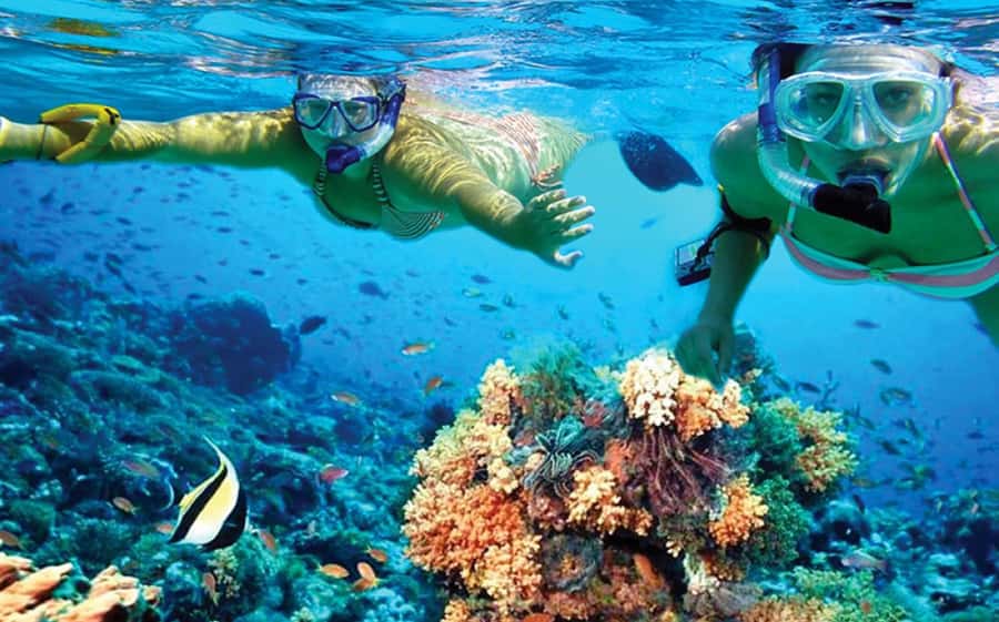 Hurghada: Day Snorkeling with Dolphins - Key points at a glance