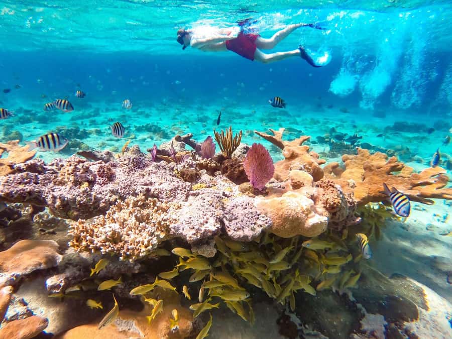 Hurghada: Day Snorkeling with Dolphins - Boarding the boat and waiting to sail