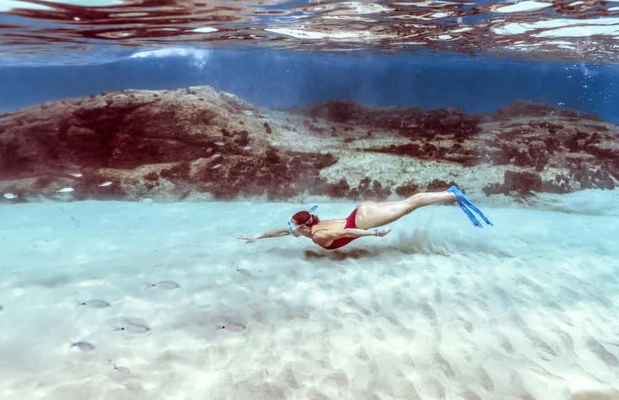 Hurghada: Day Snorkeling with Dolphins - The dolphin swim, with nature in charge