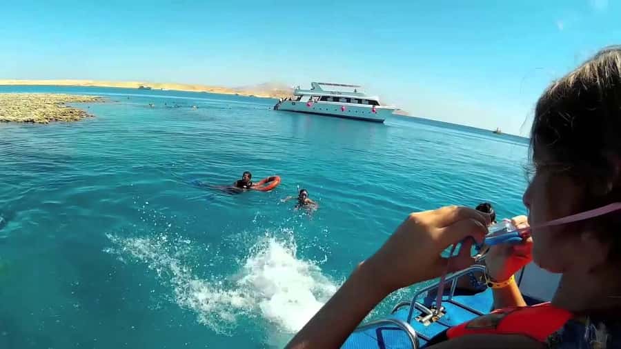 Hurghada: Day Snorkeling with Dolphins - Equipment, instruction, and comfort