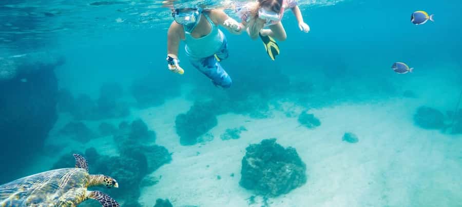 Hurghada: Day Snorkeling with Dolphins - Getting from your hotel to the marina