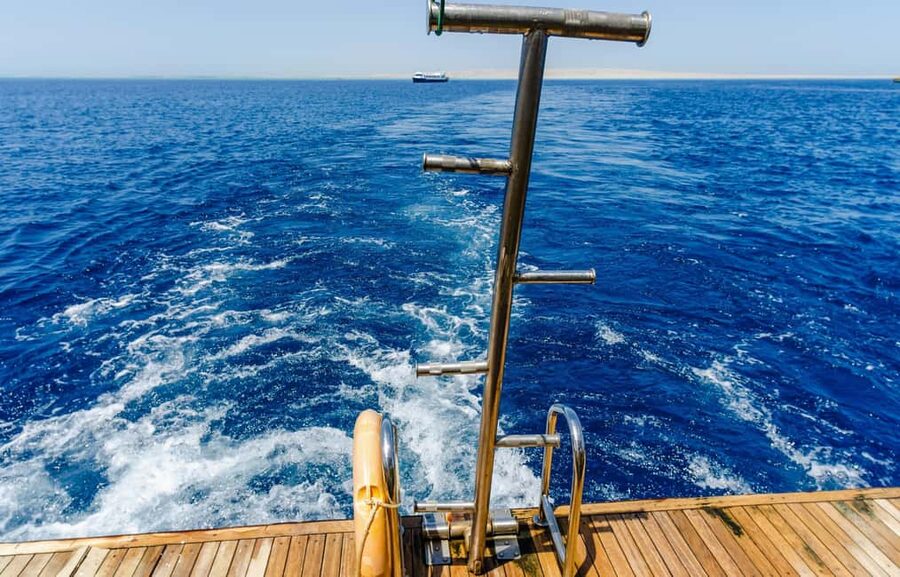 Hurghada: Dolphin & Coral Reef Snorkeling Tour with Lunch - Key points to know before booking