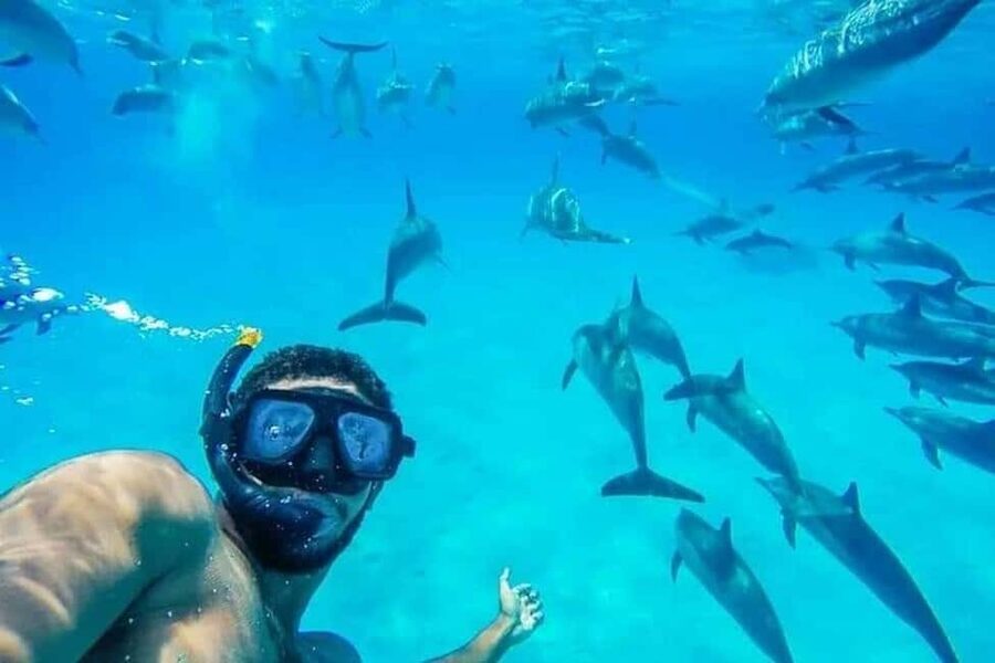 Hurghada: Dolphin & Coral Reef Snorkeling Tour with Lunch - Looking for dolphins in open water